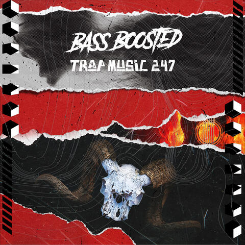 Bass Boosted Trap Music 247