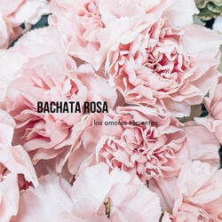 Bachata Rosa