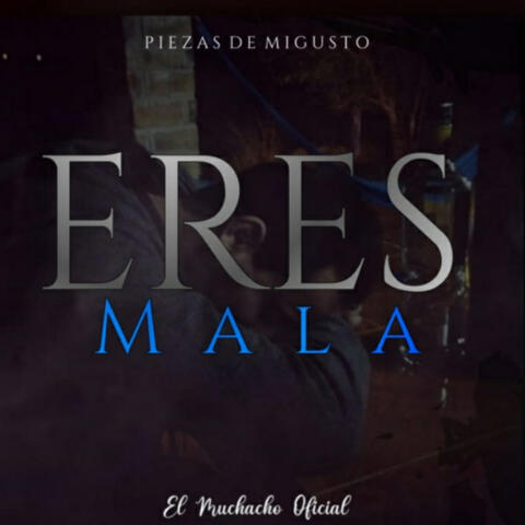 Piezas De Mi Gusto