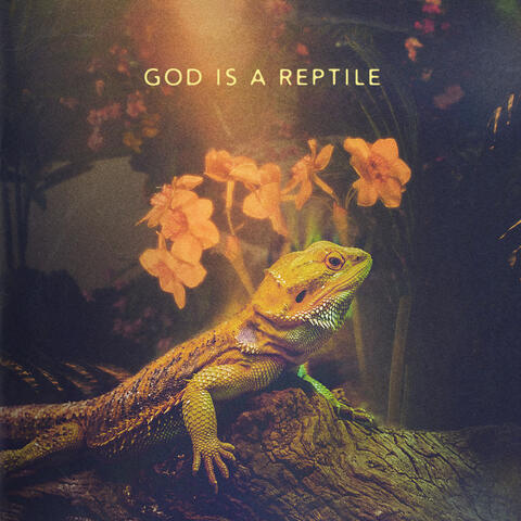 God Is A Reptile