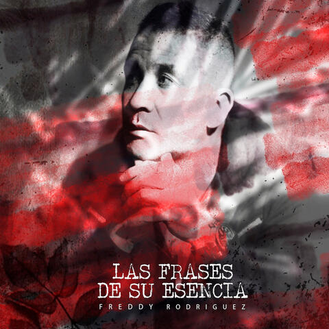 Las Frases De Su Esencia