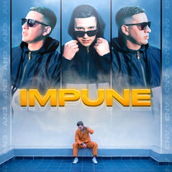 IMPUNE RKT