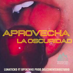 Aprovecha la Oscuridad