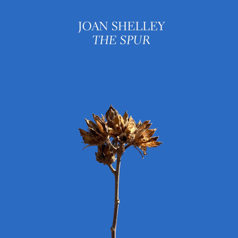 The Spur