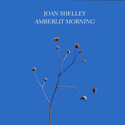 Amberlit Morning