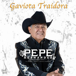 Gaviota Traidora