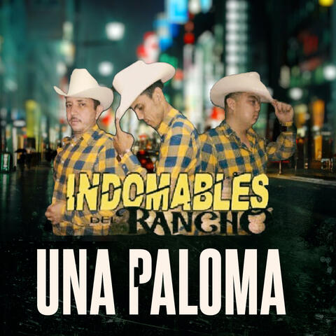 Una Paloma