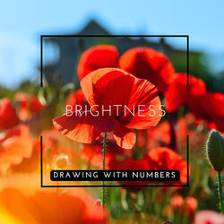 Brightness