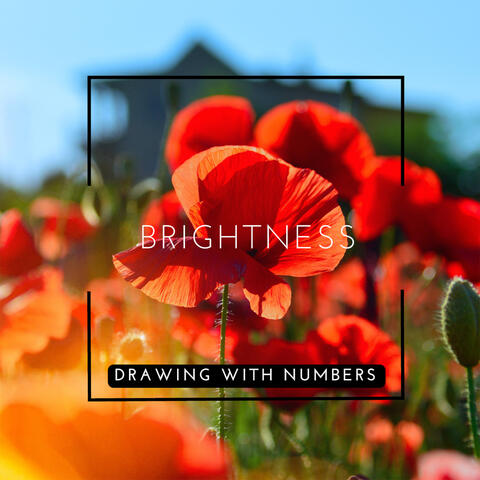 Brightness