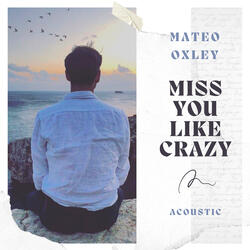 Miss You Like Crazy