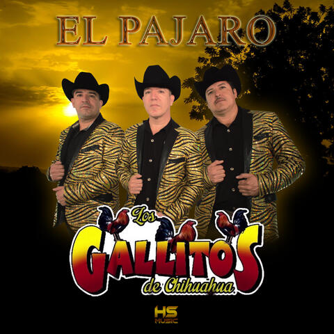 El Pajaro
