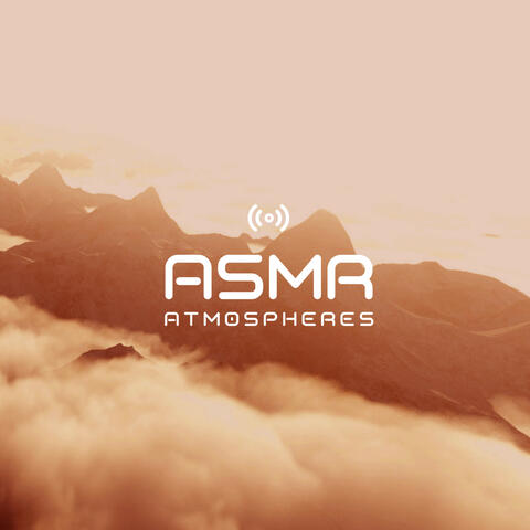 Calm Forest Rain Atmospheres