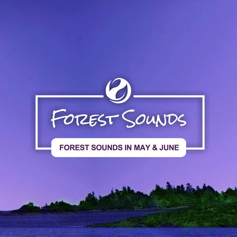 Forest Sounds In May & June