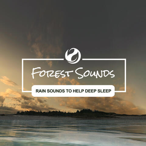 Rain Sounds To Help Deep Sleep