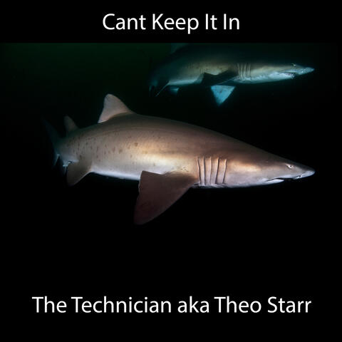 Cant Keep It In