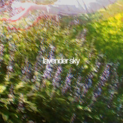 Lavender Sky