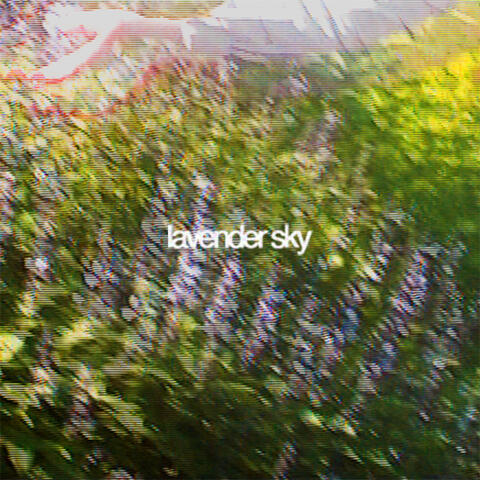Lavender Sky