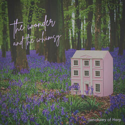 The Wonder and the Whimsy