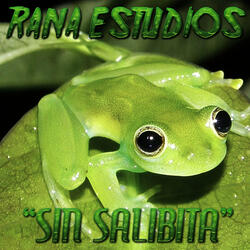 Sin Salibita
