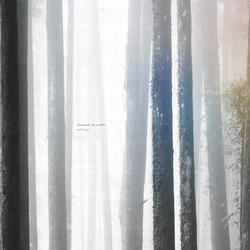 Disappear for a while