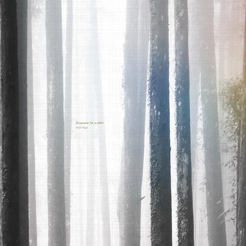 Disappear for a while