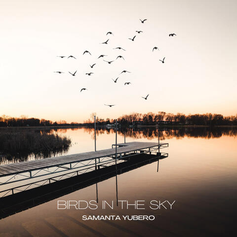 Birds in the Sky