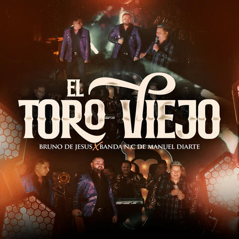 El Toro Viejo
