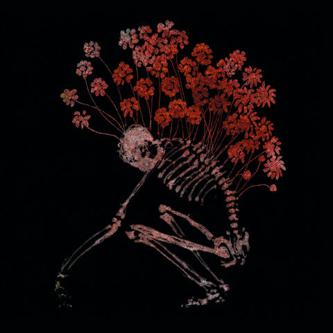 Folk Aesthetic 1996-2006