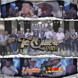Te Quiero Tanto