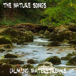 Calm Waterstream In Cave