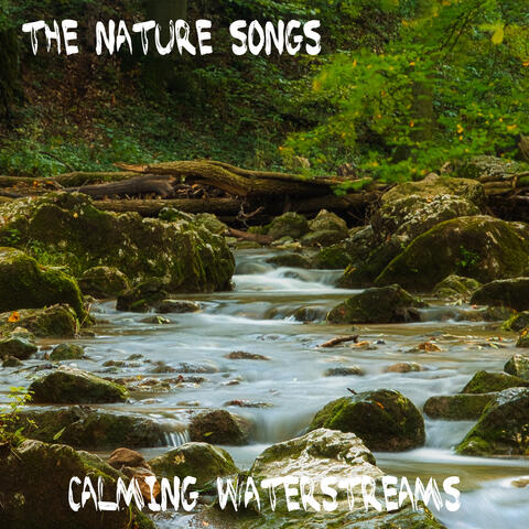 Calming Waterstreams