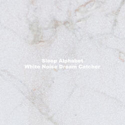 White Noise Dream Catcher