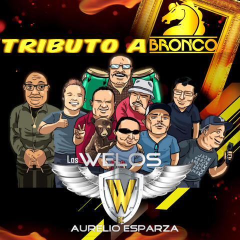Tributo a Bronco