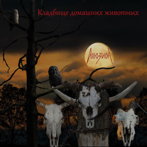 Кладбище домашних животных