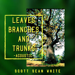 Leaves, Branches, and Trunks