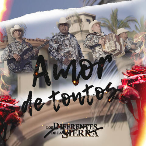 Amor De Tontos