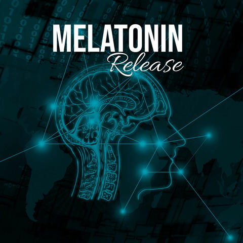 Delta Sinus Noise Pad