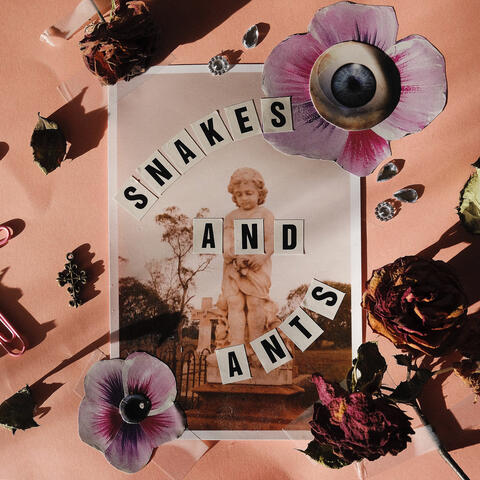Snakes and Ants