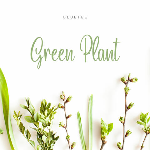 Green Plant