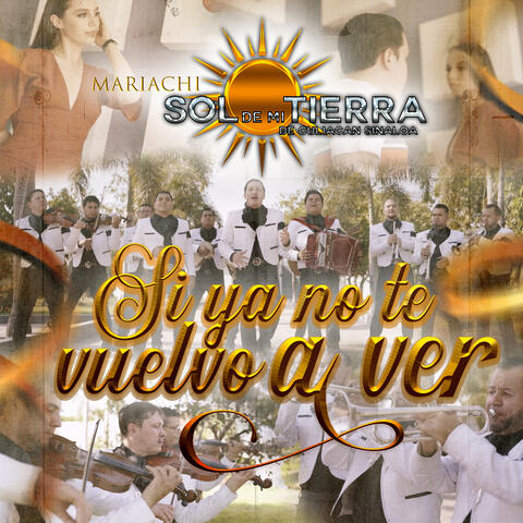 Si Ya No Te Vuelvo A Ver