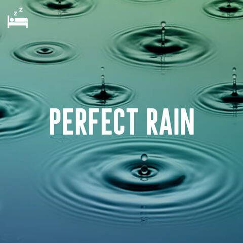 Perfect Rain