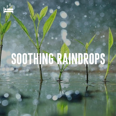 Soothing Raindrops