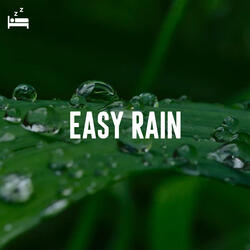 Drops on a Lily