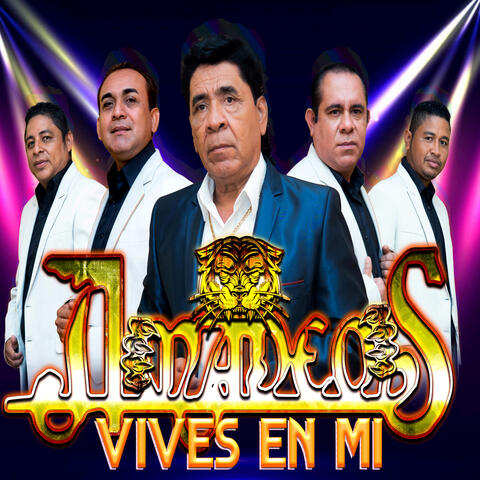 Vives En Mi