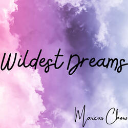 Wildest Dreams