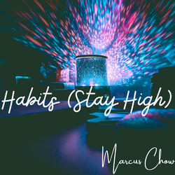 Habits (Stay High)