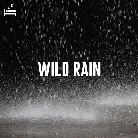 Wild Rain