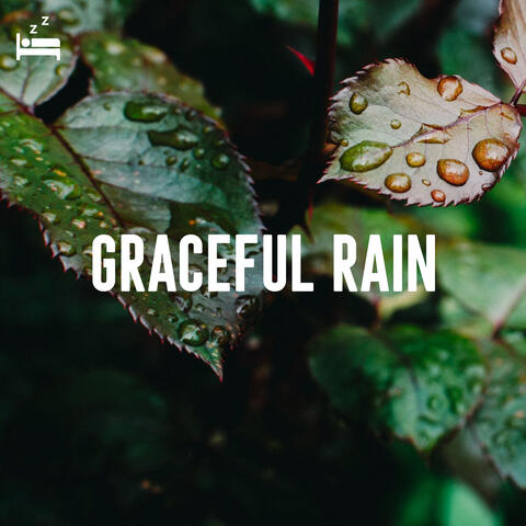Graceful Rain