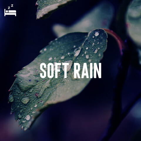 Soft Rain