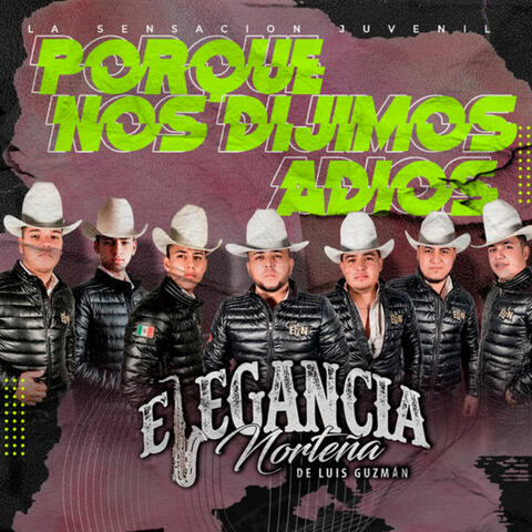 Porque Nos Dijimos Adios